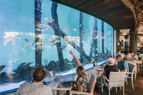 Cairns Aquarium Tour By Twilight With Drink And Appetiser - Restaurant Darwin 3