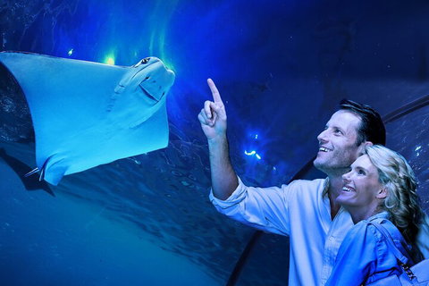 Cairns Aquarium Tour By Twilight With Drink And Appetiser - Restaurant Darwin 4