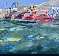 Outer Reef Pontoon Experience from Cairns - Restaurant Darwin