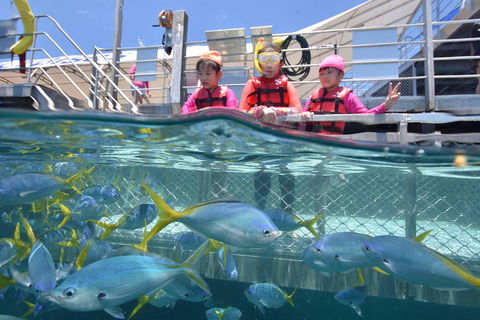 Outer Reef Pontoon Experience From Cairns - Restaurant Darwin 0