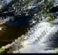 Cradle Mountain Day Tour from Launceston Including Lunch - Restaurant Darwin