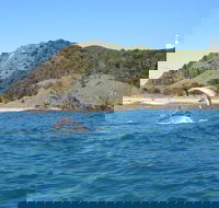 Kayaking with Dolphins in Byron Bay Guided Tour - Restaurant Darwin