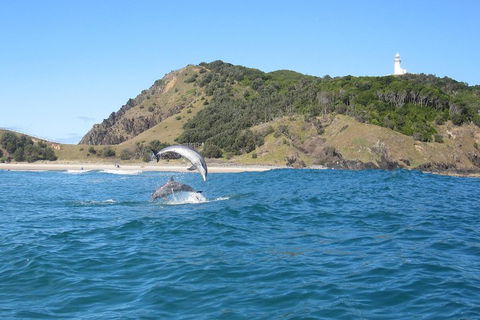 Kayaking With Dolphins In Byron Bay Guided Tour - Restaurant Darwin 0
