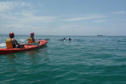 Kayaking With Dolphins In Byron Bay Guided Tour - Restaurant Darwin 4