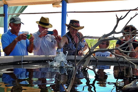 Cape Leveque 4WD Tour From Broome With Optional Return Flight - Restaurant Darwin 0