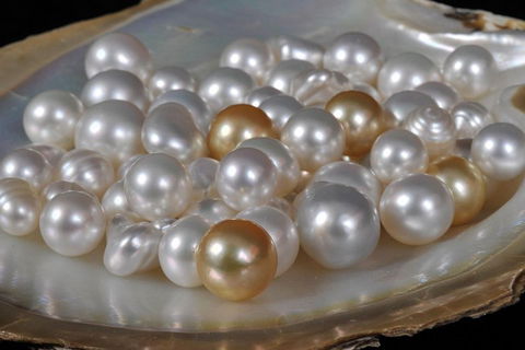 Cape Leveque 4WD Tour From Broome With Optional Return Flight - Restaurant Darwin 5