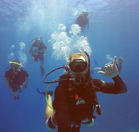 12-Day Great Barrier Reef Marine Conservation Program from Cairns - Restaurant Darwin