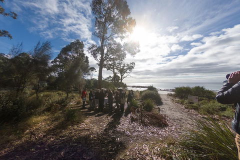 Bruny Island Day Tour, Includes Lunch And Exclusive Lighthouse Tour - Restaurant Darwin 5