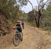 Mount Lofty Descent Bike Tour from Adelaide - Restaurant Darwin