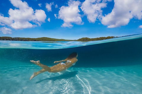 Lake McKenzie Full-Day Tour With Lunch From Hervey Bay - Restaurant Darwin 5