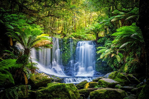 Day Tour In Mt. Field, Mt. Wellington, Bonorong Wildlife Sanctuary And Richmond - Restaurant Darwin 0