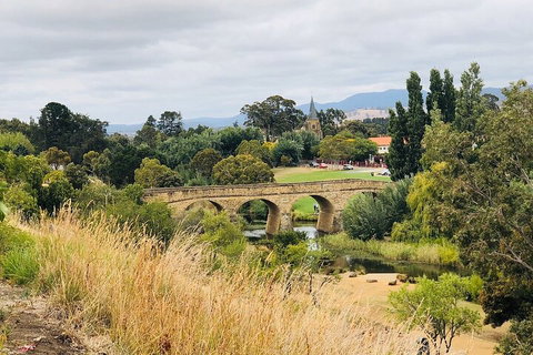 Day Tour In Mt. Field, Mt. Wellington, Bonorong Wildlife Sanctuary And Richmond - Restaurant Darwin 3