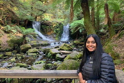Day Tour In Mt. Field, Mt. Wellington, Bonorong Wildlife Sanctuary And Richmond - Restaurant Darwin 5