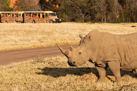 Sunset Safari At Werribee Open Range Zoo - Restaurant Darwin 1