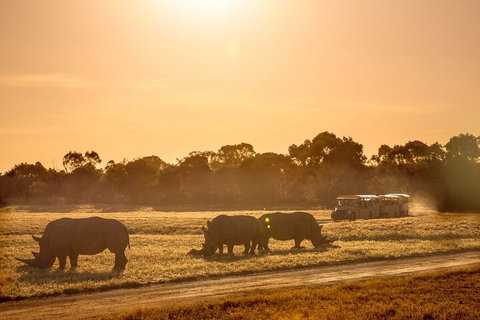 Sunset Safari At Werribee Open Range Zoo - Restaurant Darwin 2