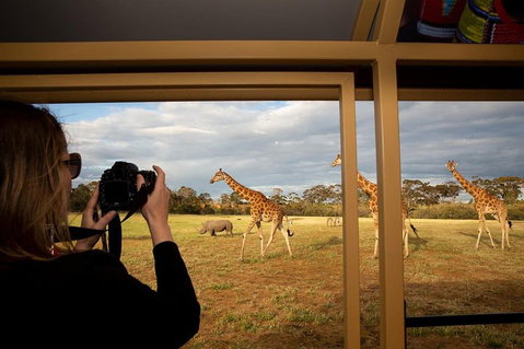 Sunset Safari At Werribee Open Range Zoo - Restaurant Darwin 4