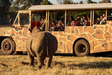 Sunset Safari At Werribee Open Range Zoo - Restaurant Darwin 5