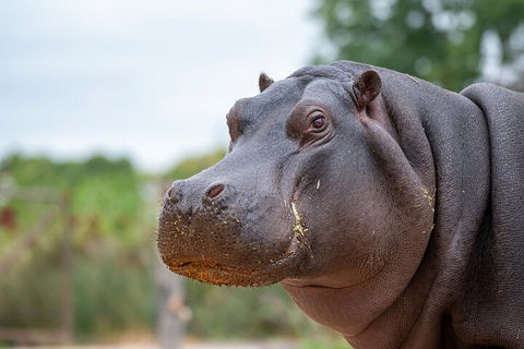 Early Morning Savannah Experience - Restaurant Darwin 2