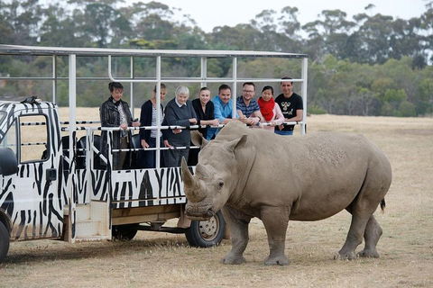 Off-Road Safari At Werribee Open Range Zoo - Restaurant Darwin 0