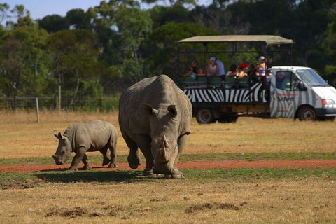 Off-Road Safari At Werribee Open Range Zoo - Restaurant Darwin 5