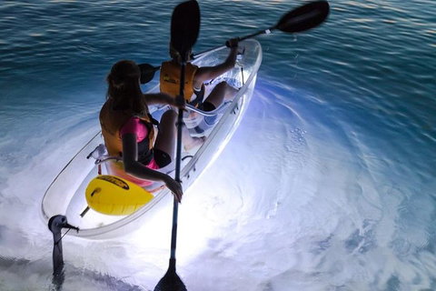 2-Day Moreton Island Tour From Brisbane Or Gold Coast With Optional Nighttime Kayaking - Restaurant Darwin 0
