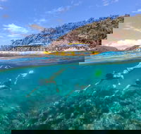 Great Barrier Reef Scenic Flight and Ocean Rafting Whitehaven Beach Day Trip - Restaurant Darwin
