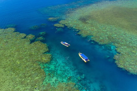 Great Barrier Reef Scenic Flight And Ocean Rafting Whitehaven Beach Day Trip - Restaurant Darwin 4