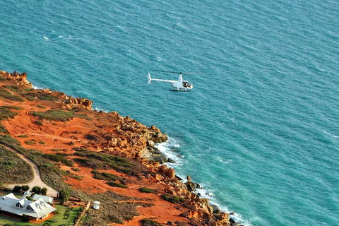 Half-Day Willie Creek Pearl Farm Tour With Helicopter Flight - Restaurant Darwin 4