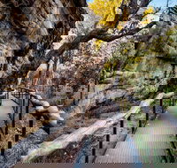 Kakadu National Park Cultural Experience - Restaurant Darwin