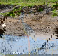 Darwin to Kakadu Day Trip by Air Including Yellow Water Cruise - Restaurant Darwin