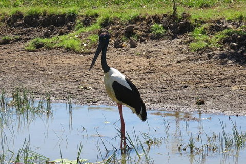 Darwin To Kakadu Day Trip By Air Including Yellow Water Cruise - Restaurant Darwin 0