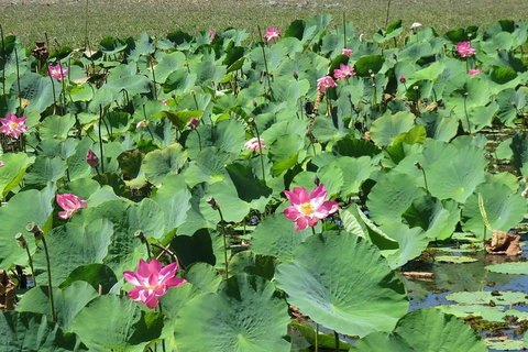 Darwin To Kakadu Day Trip By Air Including Yellow Water Cruise - Restaurant Darwin 2
