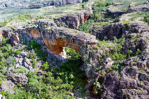 Darwin To Kakadu Day Trip By Air Including Yellow Water Cruise - Restaurant Darwin 4