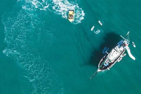 2 Night Whitsunday Islands Cruise On New Horizon From Airlie Beach - Restaurant Darwin 5