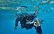 3 Day Whitsundays Sailing And Diving Adventure: Kiana - thumb 0