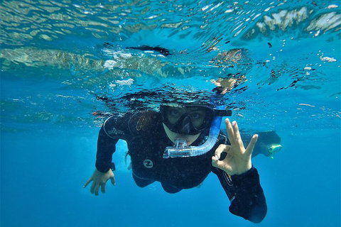 3 Day Whitsundays Sailing And Diving Adventure: Kiana - Restaurant Darwin 0