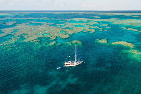3 Day Whitsundays Sailing And Diving Adventure: Kiana - Restaurant Darwin 1