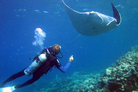 3 Day Whitsundays Sailing And Diving Adventure: Kiana - Restaurant Darwin 3