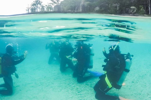 3 Day Whitsundays Sailing And Diving Adventure: Kiana - Restaurant Darwin 4