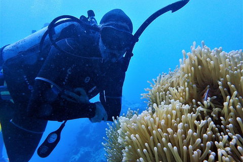 3 Day Whitsundays Sailing And Diving Adventure: Kiana - Restaurant Darwin 5