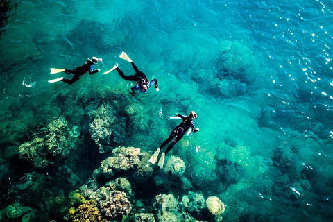2-Night Whitsundays Sailing Adventure: Whitsunday Getaway - Restaurant Darwin 5