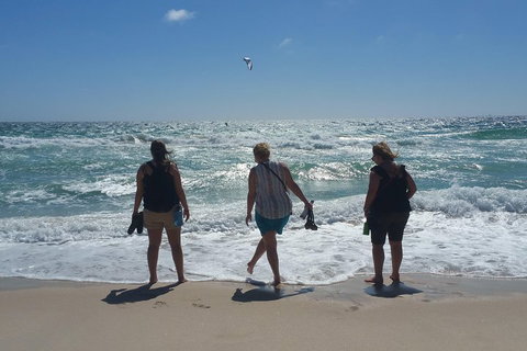 Very Best Of Perth Tour - Wildlife Park & City Highlights Tour - Restaurant Darwin 5