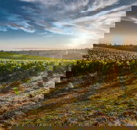 Perth to Margaret River Wine Tour - 2 Day Premium Boutique Wine Tour Experience - Restaurant Darwin