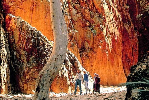 West MacDonnell Ranges Day Trip From Alice Springs - Restaurant Darwin 3