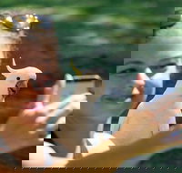 2-Day Melbourne to Adelaide Tour Great Ocean Road and Grampians One Way Trip - Restaurant Darwin