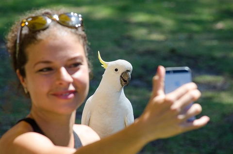 2-Day Melbourne To Adelaide Tour: Great Ocean Road And Grampians One Way Trip - Restaurant Darwin 0