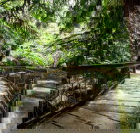 12 Apostles Eco-Friendly Great Ocean Road Iconic Adventure from Melbourne - Restaurant Darwin
