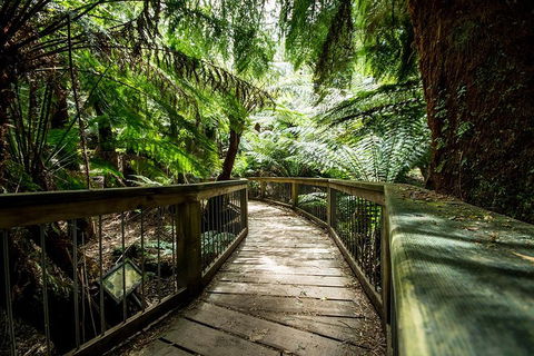 12 Apostles Eco-Friendly Great Ocean Road Iconic Adventure From Melbourne - Restaurant Darwin 0
