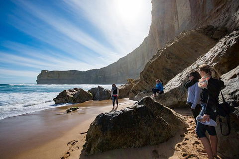 12 Apostles Eco-Friendly Great Ocean Road Iconic Adventure From Melbourne - Restaurant Darwin 2