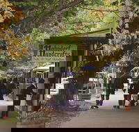 Adelaide Highlights Hahndorf  McLaren Vale Wine Tasting and Sightseeing Tour - Restaurant Darwin
